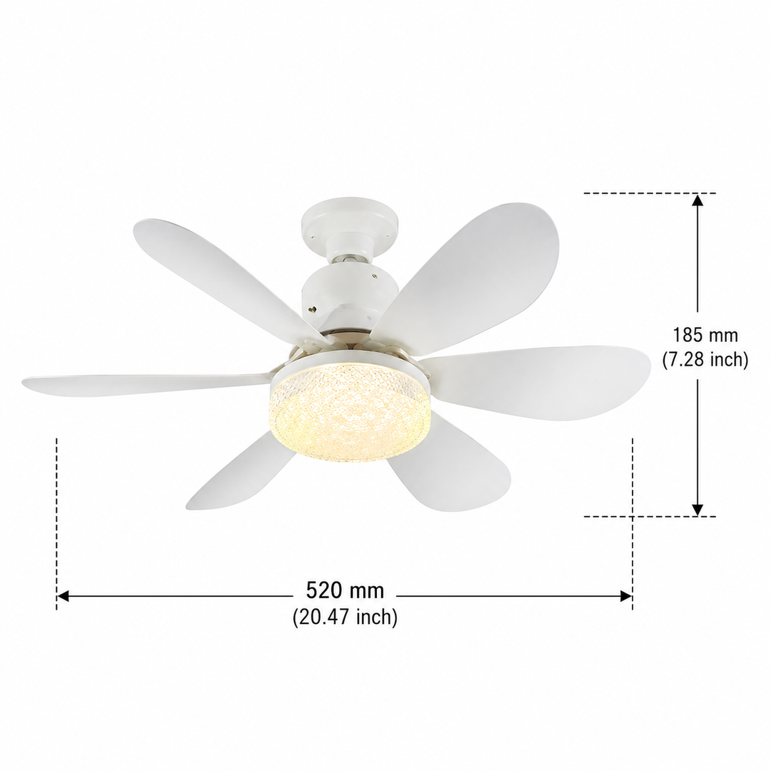 Draagbare Ventilator met Afstandsbediening en LED-Licht