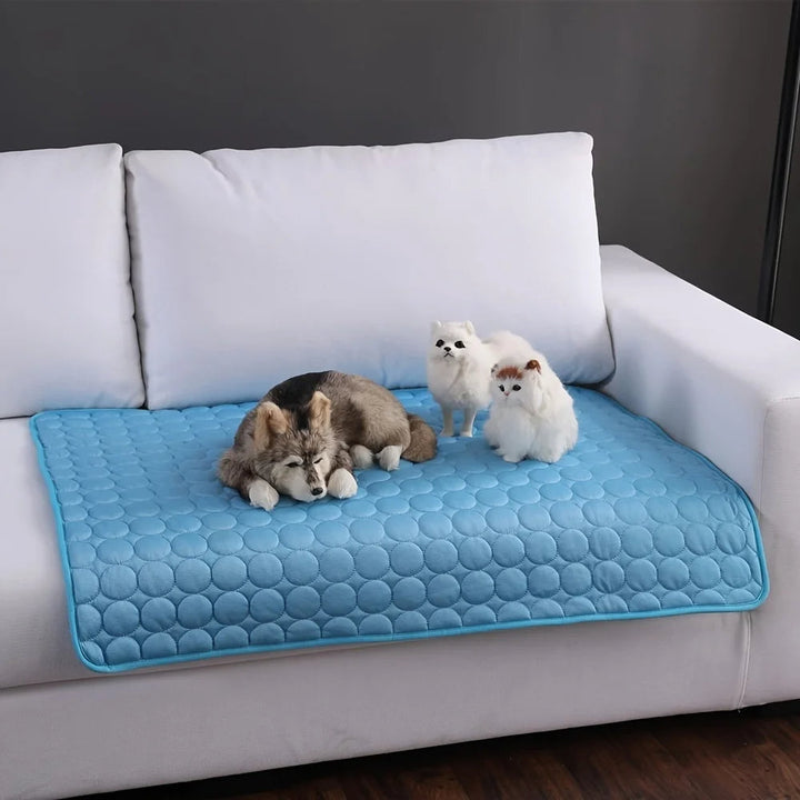 Blije hond ligt comfortabel op een verkoelende huisdier koelmat, perfect voor de zomerhitte.