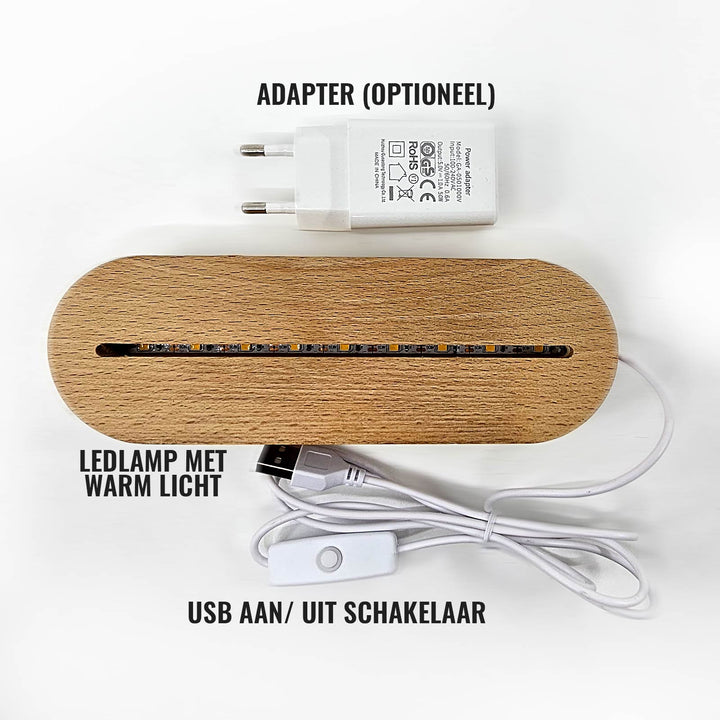 LED nachtlampje kinderkamer: gepersonaliseerd met naam, leuke dierenprint (leeuw), zacht sfeerlicht.