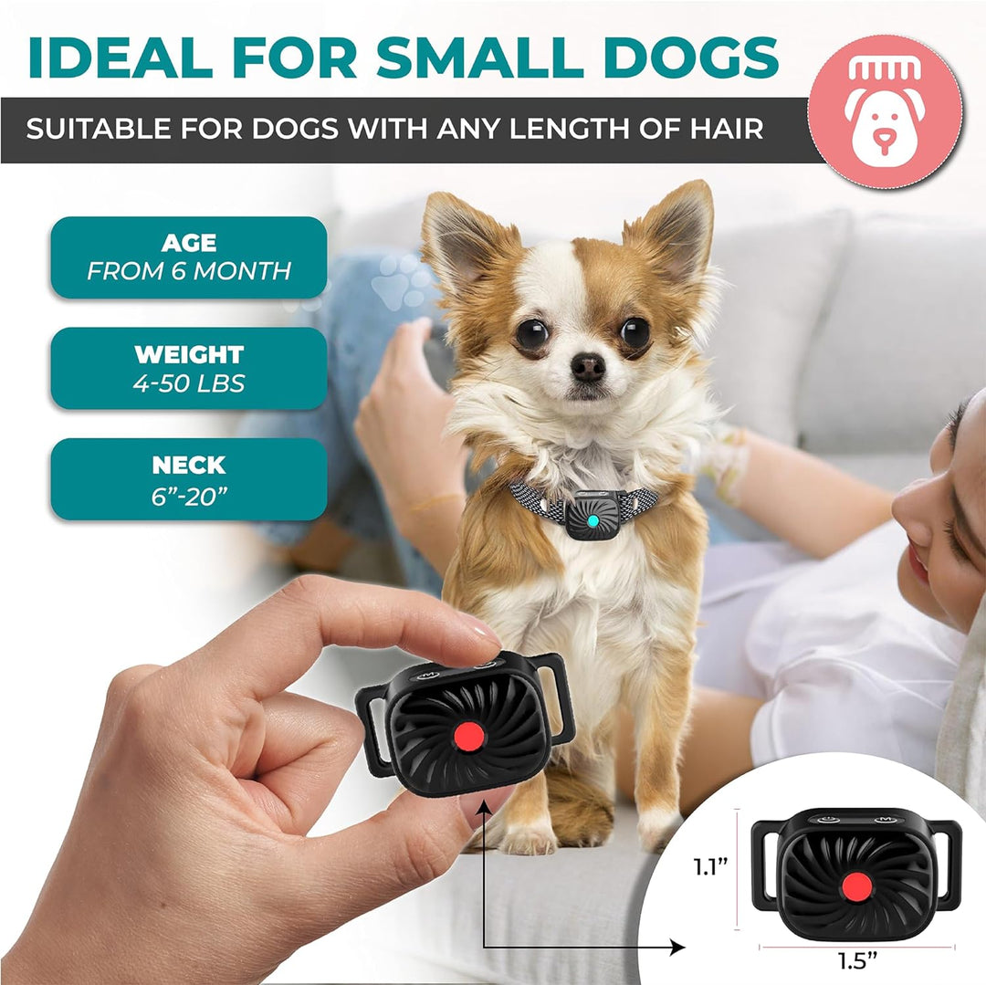 Oplaadbare anti-blaf halsband speciaal voor kleine honden, een essentieel huisdier accessoire.