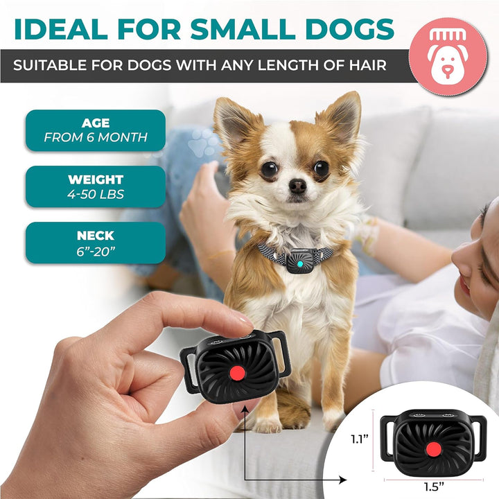 Oplaadbare anti-blaf halsband speciaal voor kleine honden, een essentieel huisdier accessoire.