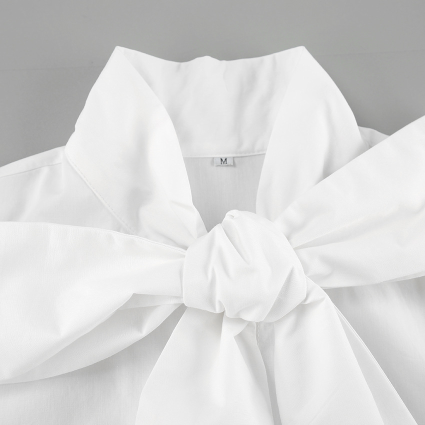 Stijlvolle dames blouse, wit met strik, voor een elegante en trendy uitstraling. Lange mouw.