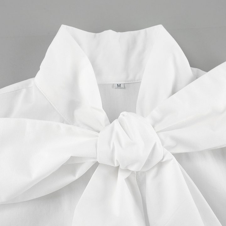 Stijlvolle dames blouse, wit met strik, voor een elegante en trendy uitstraling. Lange mouw.