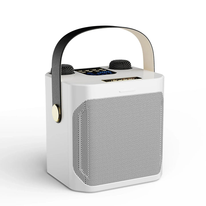 Draadloze Bluetooth karaokespeaker met snelle verbinding, ideaal voor muziek streamen en zingen via microfoon.