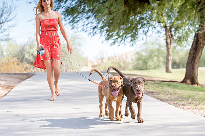 Handige dubbele hondenriem voor twee honden, reflecterend en flexibel, essentieel hondentoebehoren voor wandelen.