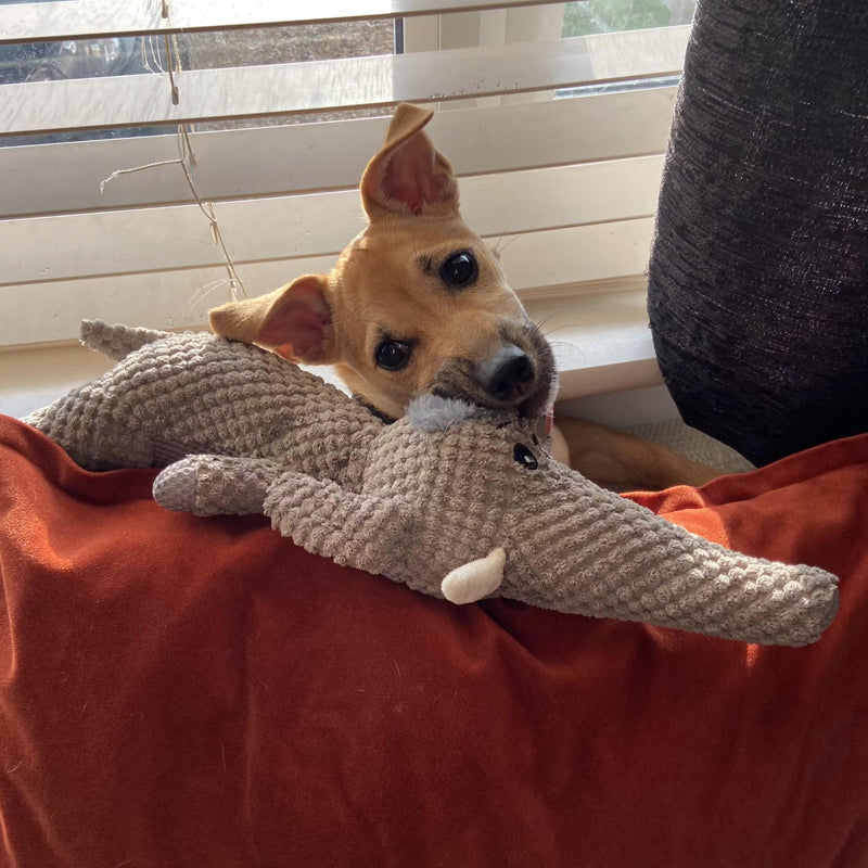 Onverwoestbaar hondenspeelgoed voor sterke kauwers, handgemaakt van milieuvriendelijke jeans, geschikt voor alle honden.