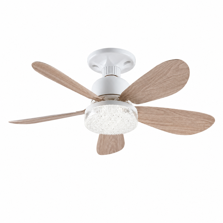 Draagbare Ventilator met Afstandsbediening en LED-Licht