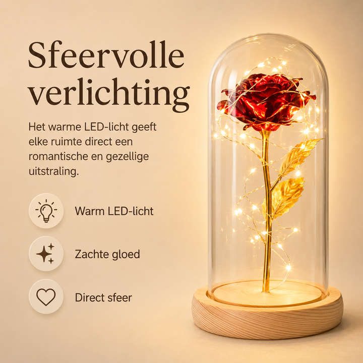 Elegante glazen stolp met eeuwig gouden roos en sfeervolle LED-lichtjes. Perfect geschenk.