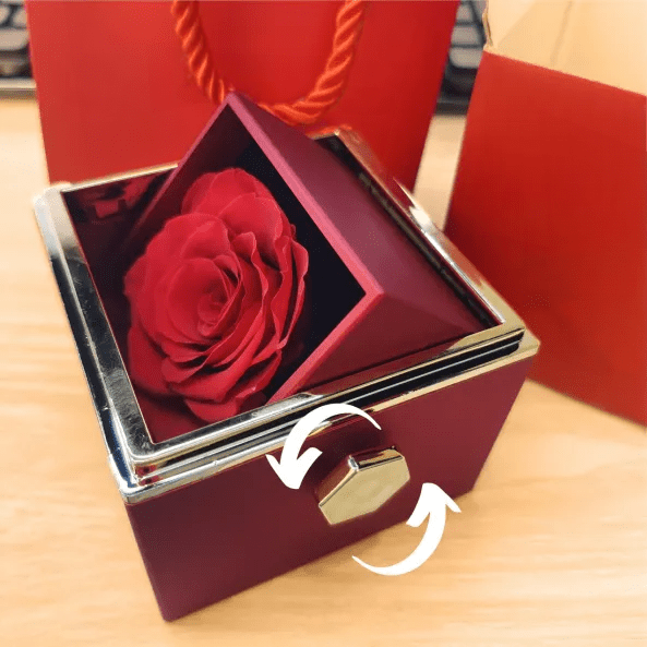 Eeuwige rozen doos met gouden hartprojectieketting, betoverend en elegant sieraad voor betekenisvolle herinneringen.