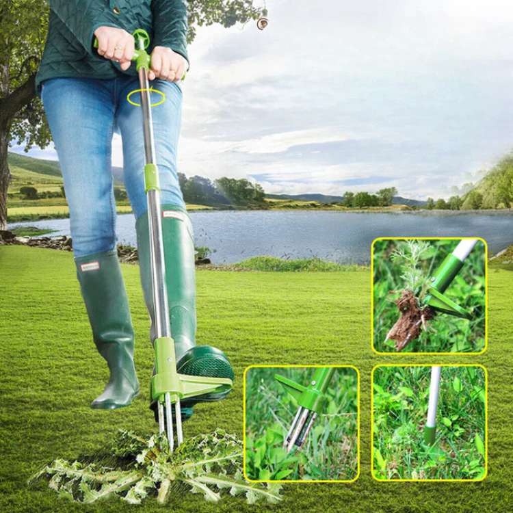 Efficiënte onkruidtrekker voor de tuin; verwijdert onkruid met wortel. Ergonomisch tuingereedschap voor staand wieden.