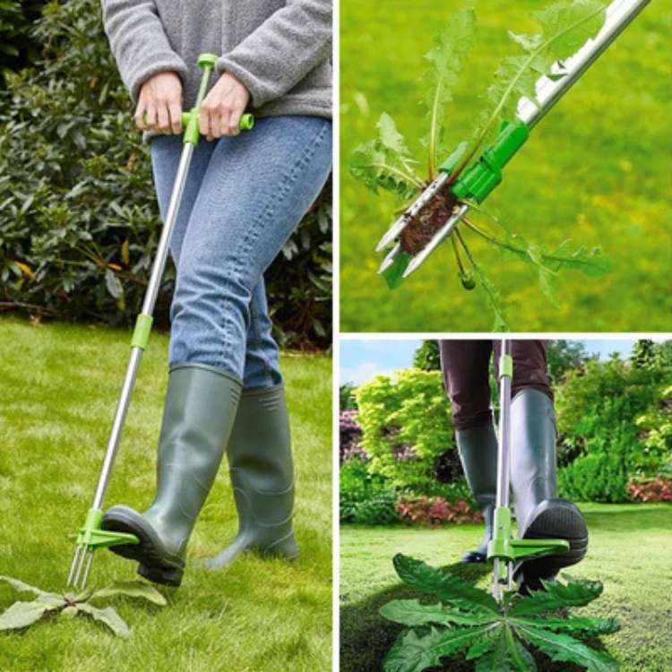Snelle onkruidtrekker, efficiënt voor tuinonderhoud. Verwijdert onkruid en wortels snel. Onmisbaar tuingereedschap.