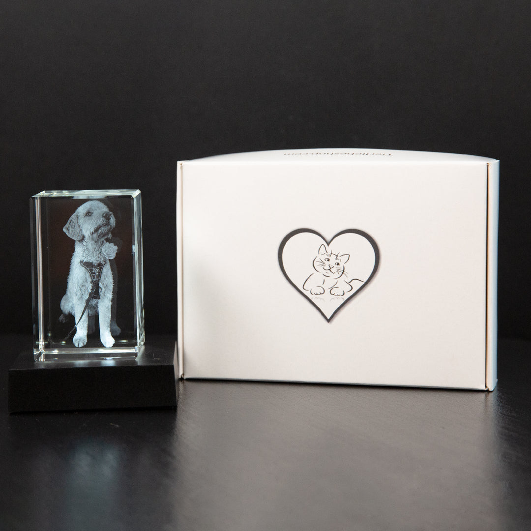 Kristallen aandenken met gegraveerde 3D foto, om speciale momenten voor altijd te bewaren.