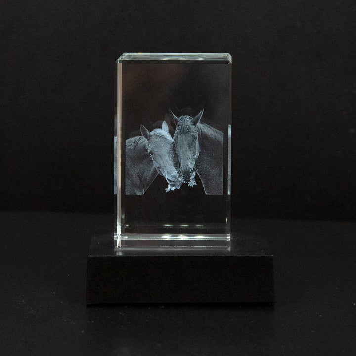 Hoogwaardig gepersonaliseerd kristal met uw 3D foto; een dierbare herinnering in glas.