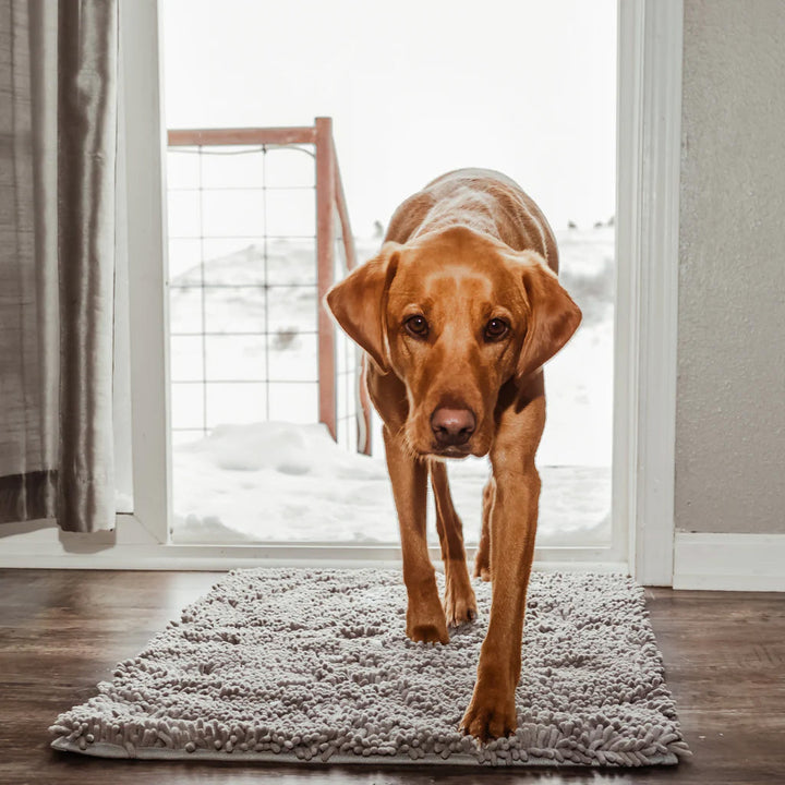 Grijze honden schoonloopmat voorkomt vuile pootafdrukken in huis. Ideaal voor vloerbescherming en huisdieren.