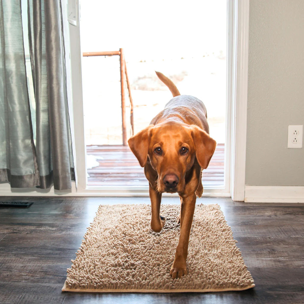 Moddermat voor honden; verzekert geen vuile pootafdrukken meer. Antislip en makkelijk wasbaar.