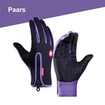 Paars