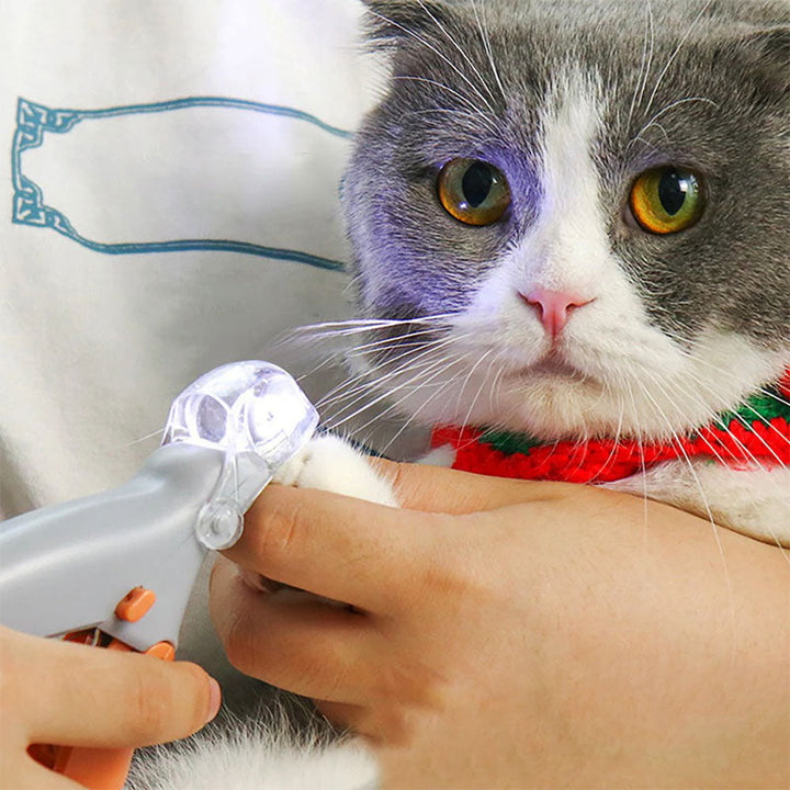 Close-up van nagelknipschaar met ingebouwde LED-verlichting, ideaal voor honden en katten