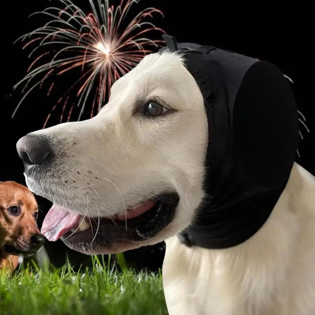Honden oorkappen voor geluidsreductie; kalmerende hondenaccessoire tegen angst, met comfortabele pasvorm voor huisdieren.