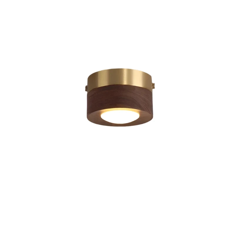 Moderne essenhouten LED plafondlamp, richtbaar. Ideaal voor accentverlichting in woon- of slaapkamer.