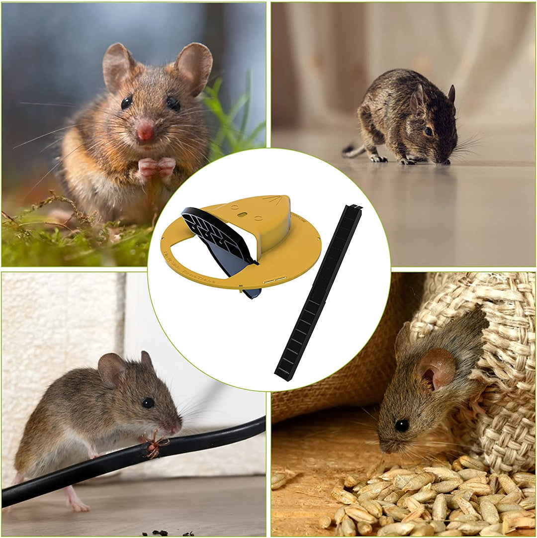 Veilige, herbruikbare humane muizenval emmerdeksel voor vangst van knaagdieren. Essentieel voor huishouden.