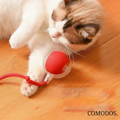 Automatisch kattenspeelgoed voor kittens, bevordert actief speelgedrag.