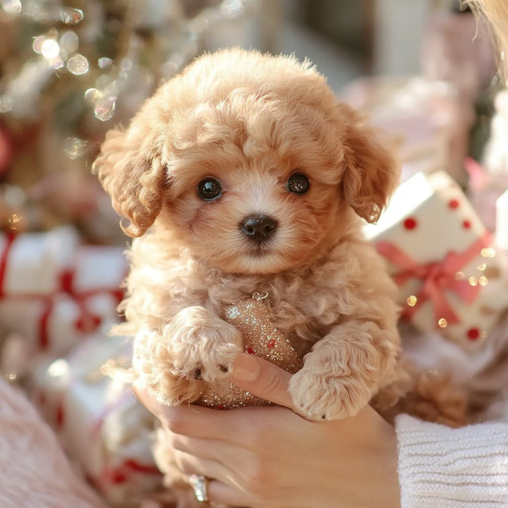 Leuk cadeau: realistische interactieve pluche hond; beweegt, blaft, voor jong en oud.