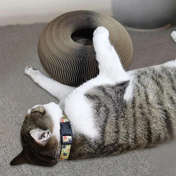 Kleurrijke speeltunnel voor katten, gemaakt van duurzaam materiaal, stimuleert activiteit en nieuwsgierigheid.
