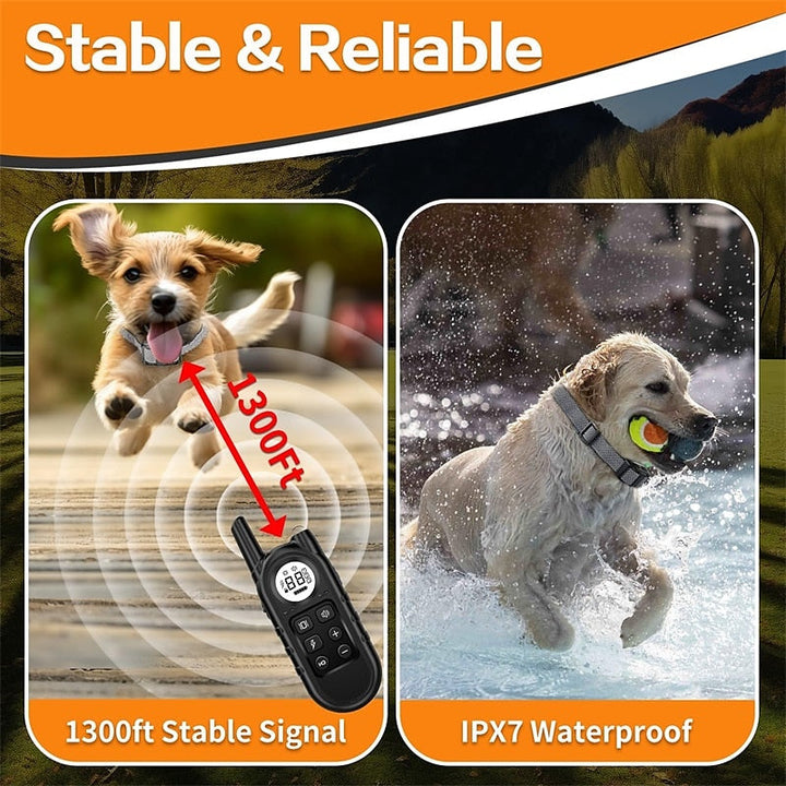 Een hond zwemt vrolijk met de waterdichte trainingshalsband om, perfect voor training bij water of regen.