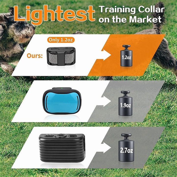 Hond in een open veld wordt getraind met de lichtgewicht trainingshalsband en afstandsbediening met groot bereik.