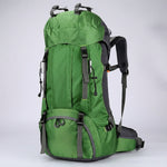Groen