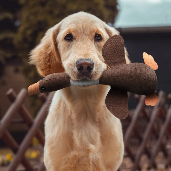 Pluche eend hondenspeeltje, zacht knaagspeelgoed voor honden, duurzaam, in oranje en bruin