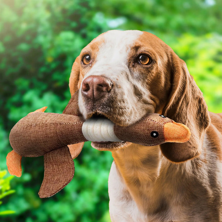 Gedetailleerd pluche eend hondenspeeltje, ideaal als knuffel en kauwspeelgoed voor honden