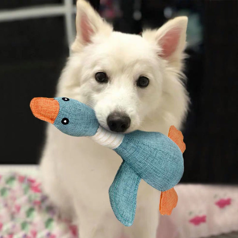 Hondenspeeltje 'pluche eend', robuust en zacht, perfect voor uren speelplezier. Geschikt voor honden