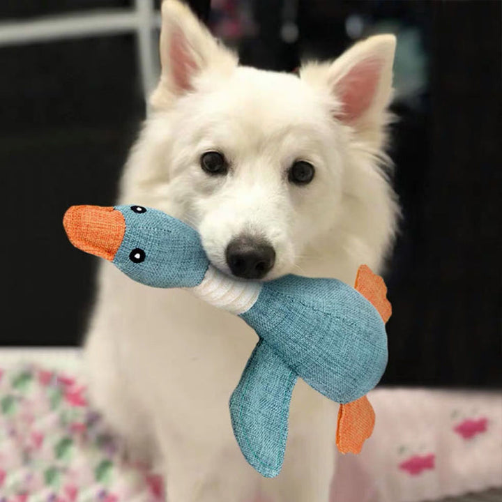 Hondenspeeltje 'pluche eend', robuust en zacht, perfect voor uren speelplezier. Geschikt voor honden