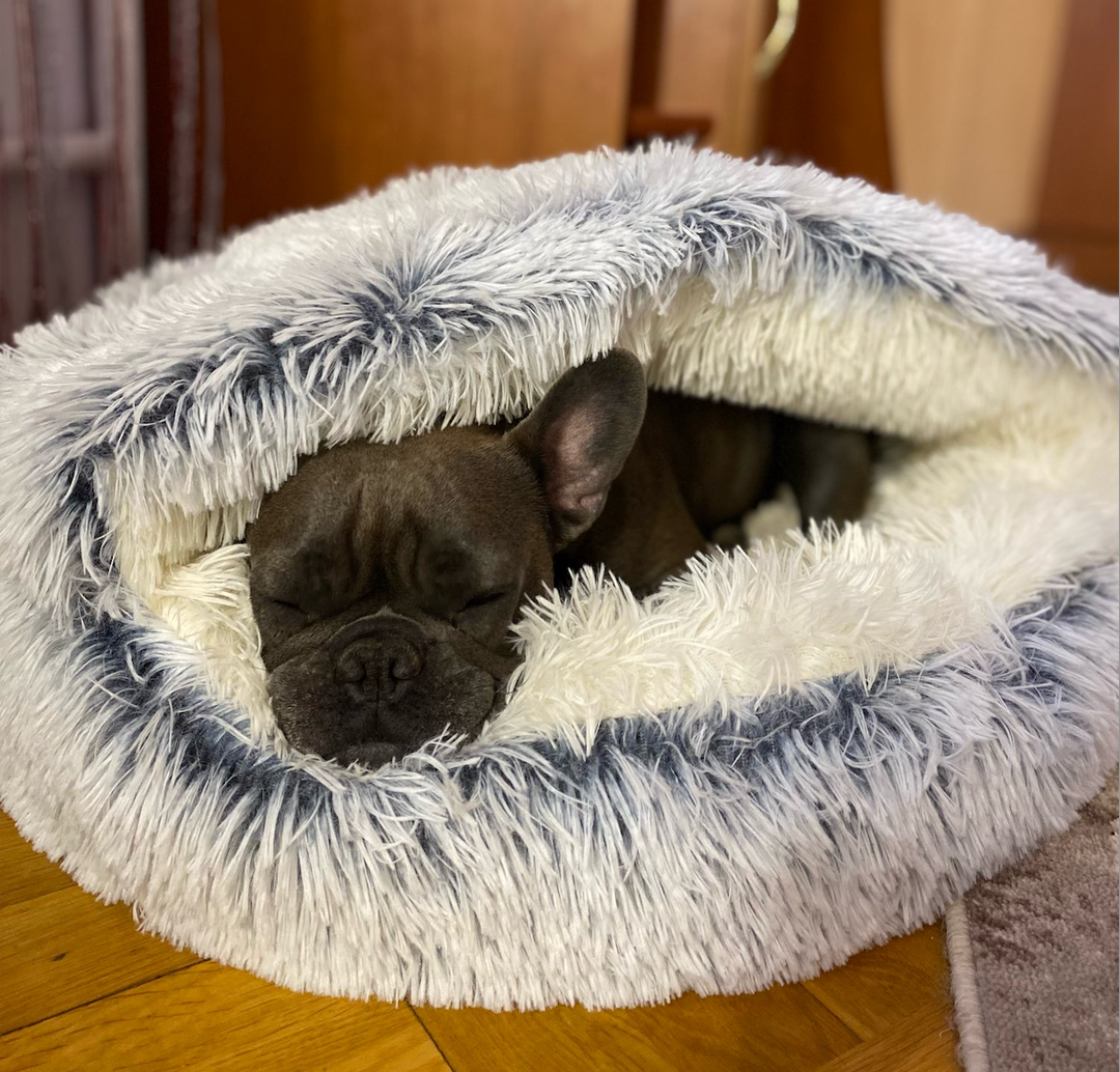 Zacht pluche grotten hondenbed met anti-slip onderkant, biedt comfort en veiligheid voor angstige honden.