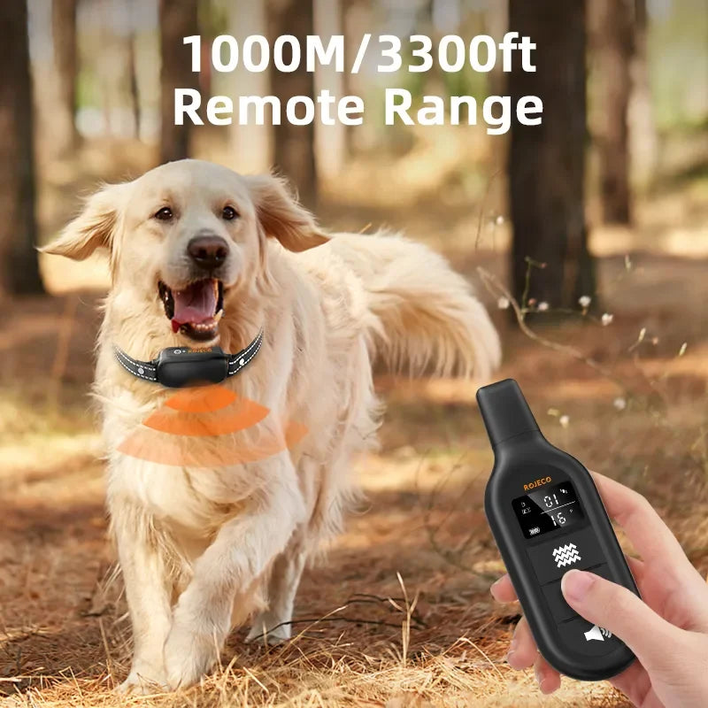 Hond draagt ProTrain waterdichte trainingshalsband. Ideaal voor buitentraining en gedragscorrectie van huisdieren.