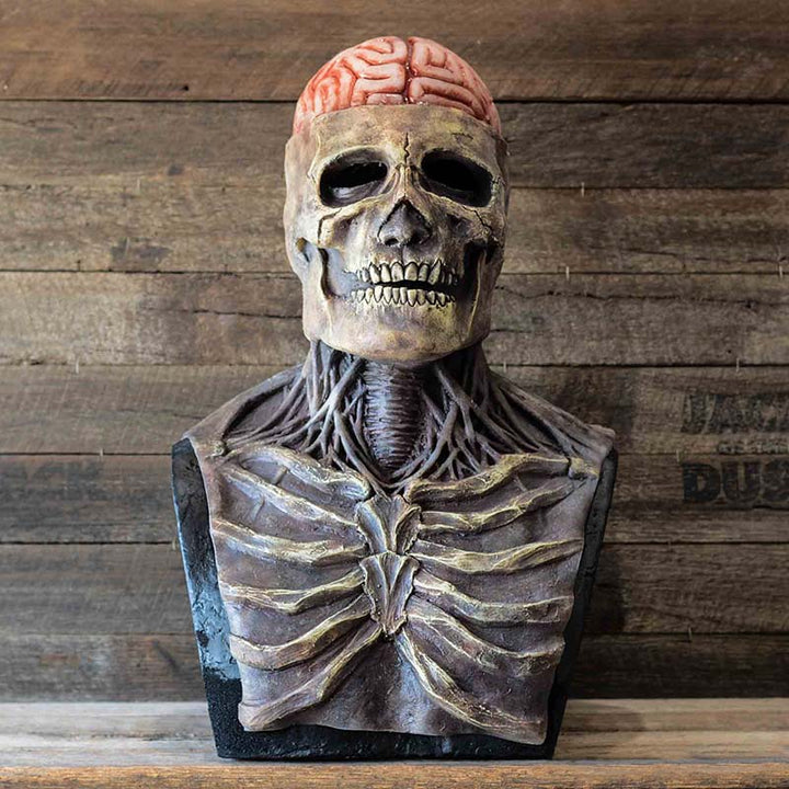 Hoogwaardig horror schedel masker, perfect voor een eng Halloweenfeest en om iedereen de stuipen op het lijf te jagen.