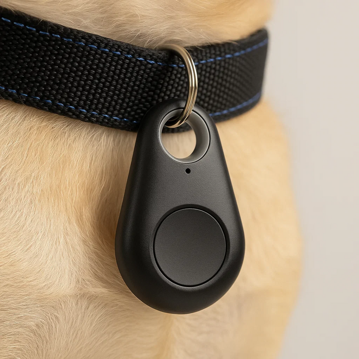 SafeTrack Mini GPS tracker voor realtime tracking; compact & universeel.