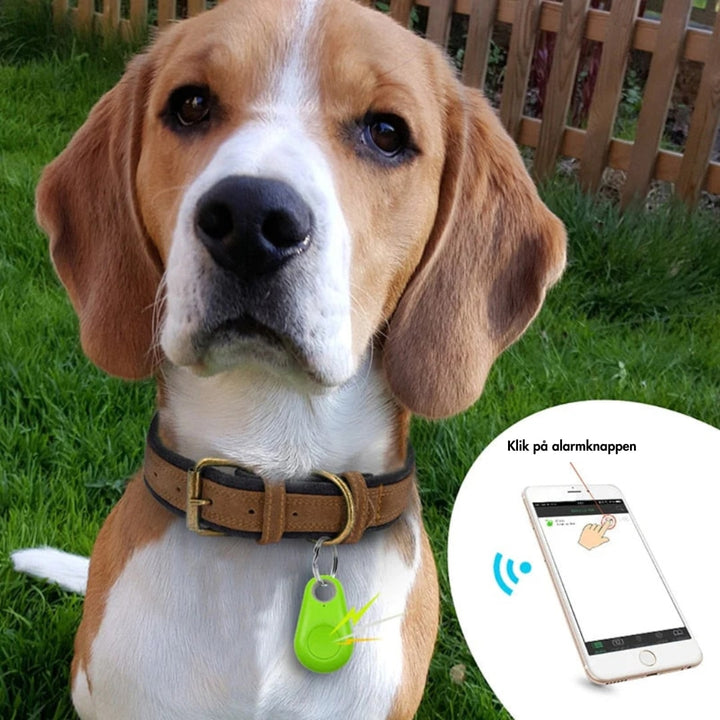 Compacte SafeTrack Mini GPS tracker met waterdichte behuizing; voor alle weersomstandigheden.