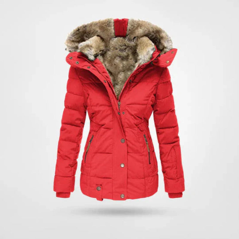 Warme dames jas met gevoerde capuchon en praktische dubbele sluiting voor een comfortabele winter.