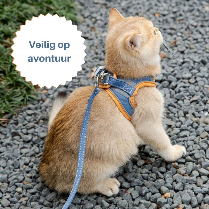 "Verstelbaar kattentuigje Oscar, ontsnappingsvrij, met fluweelzachte ademende stof in diverse stijlvolle kleuren."
