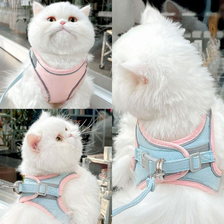 "Verstelbaar kattentuigje Oscar, ontsnappingsvrij, met fluweelzachte ademende stof in diverse stijlvolle kleuren."