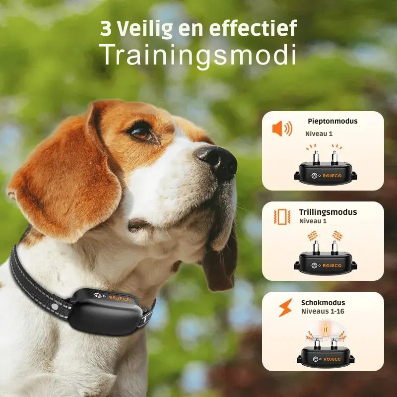 Robuuste, waterdichte hondentrainingshalsband, oplaadbaar, met afstandsbediening voor langdurig gebruik.