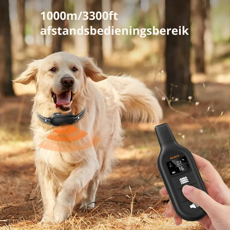 Hond draagt comfortabele waterdichte oplaadbare trainingshalsband voor gehoorzaamheidstraining buiten.