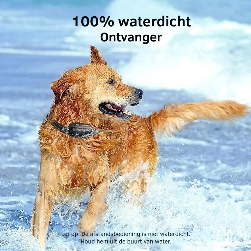 Complete set: waterdichte oplaadbare hondentrainingshalsband met afstandsbediening voor diverse oefeningen.