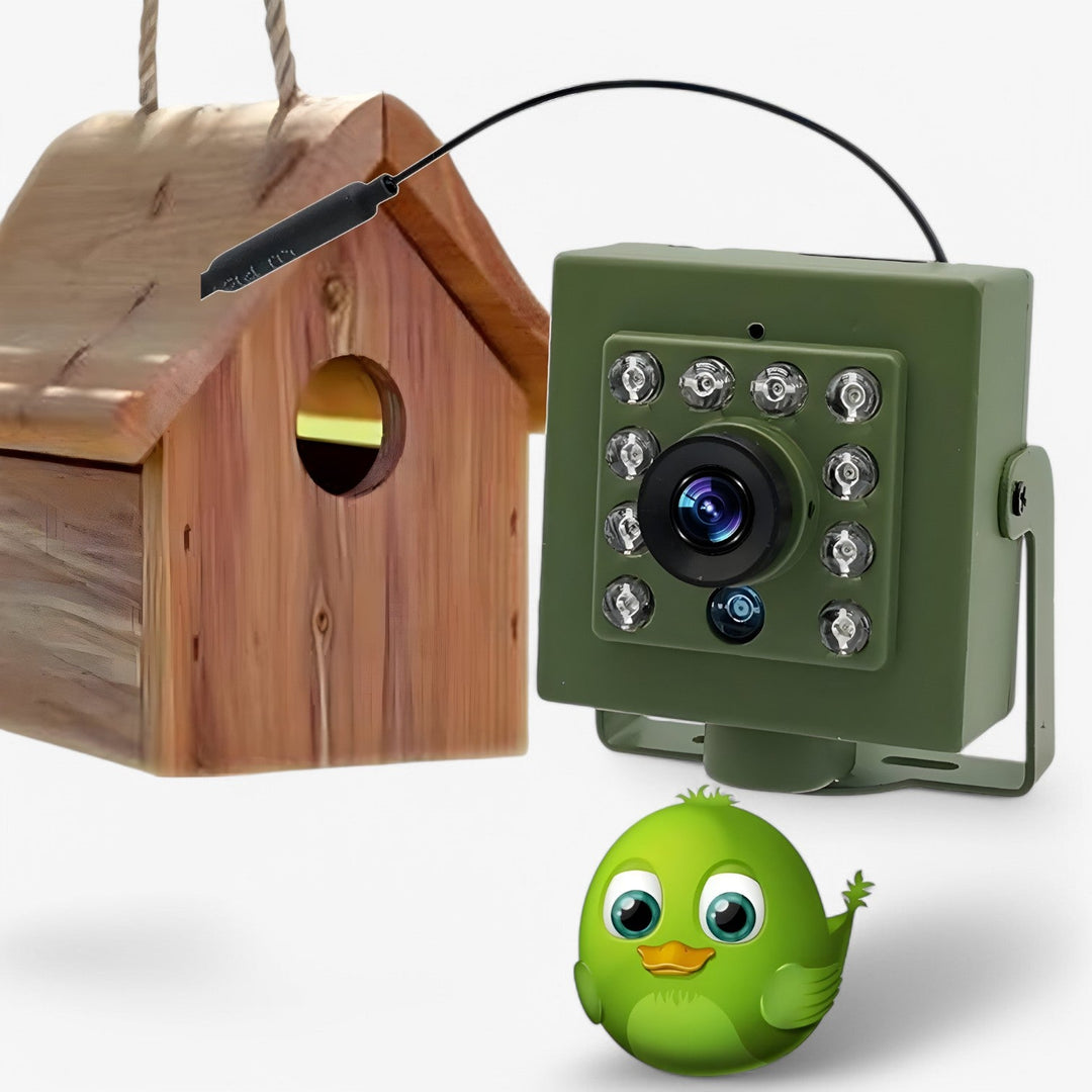 Weerbestendige WLAN vogelcamera HD met nachtzicht voor buiten, perfect voor vogelobservatie en beveiliging.