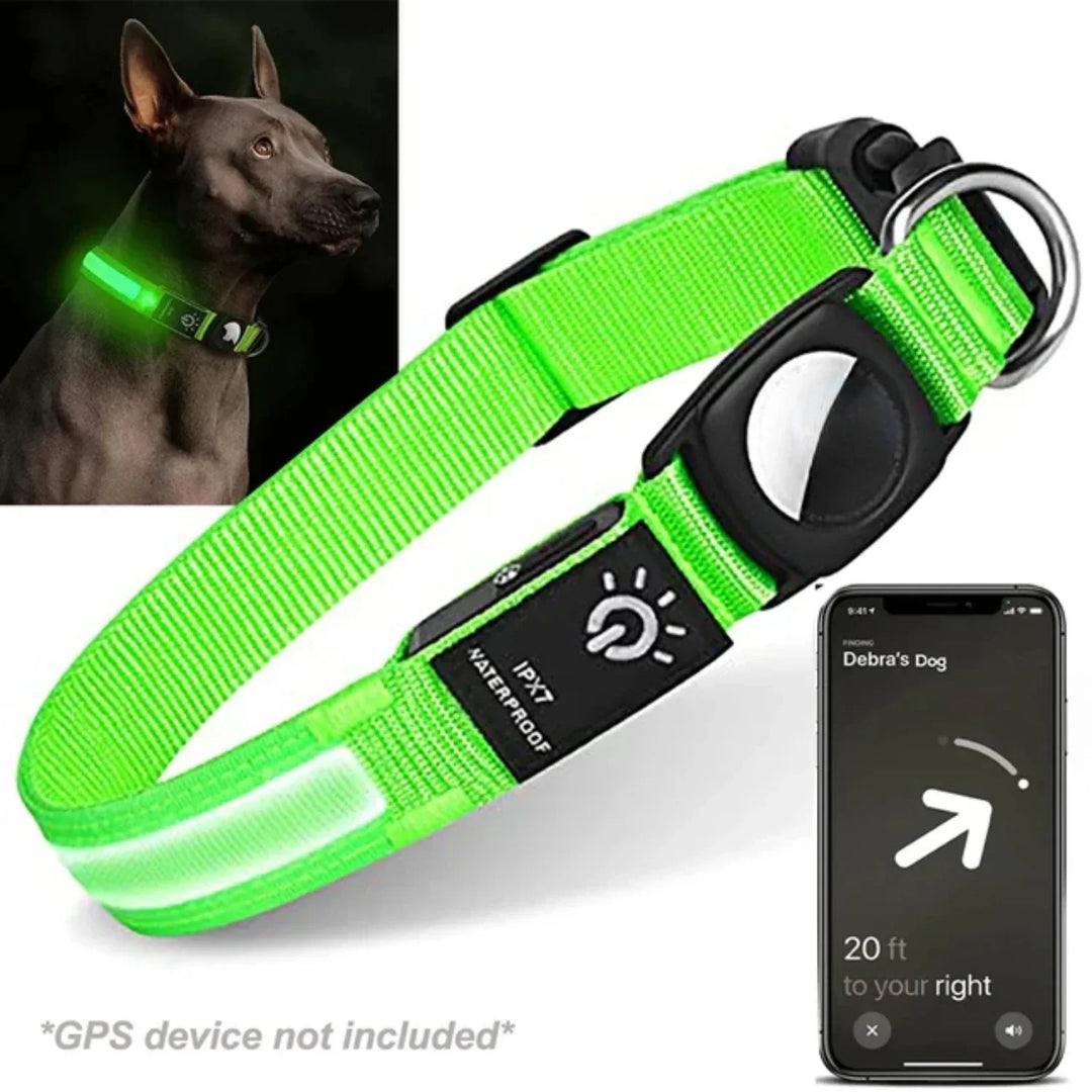 Actieve hond met oplichtende LED GPS hondenhalsband, veilig en zichtbaar tijdens buitenspelen.