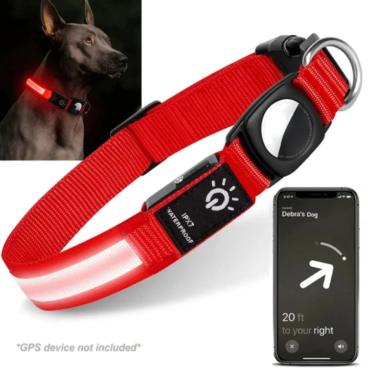 Hond zichtbaar in het donker dankzij felle LED halsband met GPS, ideaal voor nachtwandelingen.